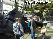 [P42] Poteca ..e un fel de timeline care iti arata cum a aparut si s-a dezvoltat viata pe Terra. » foto by TraianS
 - 
<span class="allrVoted glyphicon glyphicon-heart hidden" id="av222896"></span>
<a class="m-l-10 hidden" id="sv222896" onclick="voting_Foto_DelVot(,222896,10282)" role="button">șterge vot <span class="glyphicon glyphicon-remove"></span></a>
<a id="v9222896" class=" c-red"  onclick="voting_Foto_SetVot(222896)" role="button"><span class="glyphicon glyphicon-heart-empty"></span> <b>LIKE</b> = Votează poza</a> <img class="hidden"  id="f222896W9" src="/imagini/loader.gif" border="0" /><span class="AjErrMes hidden" id="e222896ErM"></span>