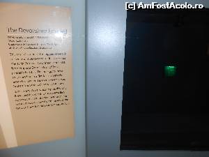 [P21] smarald celebru » foto by buterfly*
 - 
<span class="allrVoted glyphicon glyphicon-heart hidden" id="av573212"></span>
<a class="m-l-10 hidden" id="sv573212" onclick="voting_Foto_DelVot(,573212,10282)" role="button">șterge vot <span class="glyphicon glyphicon-remove"></span></a>
<a id="v9573212" class=" c-red"  onclick="voting_Foto_SetVot(573212)" role="button"><span class="glyphicon glyphicon-heart-empty"></span> <b>LIKE</b> = Votează poza</a> <img class="hidden"  id="f573212W9" src="/imagini/loader.gif" border="0" /><span class="AjErrMes hidden" id="e573212ErM"></span>