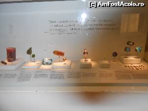 [P25] diverse pietre pretioase » foto by buterfly*
 - 
<span class="allrVoted glyphicon glyphicon-heart hidden" id="av573216"></span>
<a class="m-l-10 hidden" id="sv573216" onclick="voting_Foto_DelVot(,573216,10282)" role="button">șterge vot <span class="glyphicon glyphicon-remove"></span></a>
<a id="v9573216" class=" c-red"  onclick="voting_Foto_SetVot(573216)" role="button"><span class="glyphicon glyphicon-heart-empty"></span> <b>LIKE</b> = Votează poza</a> <img class="hidden"  id="f573216W9" src="/imagini/loader.gif" border="0" /><span class="AjErrMes hidden" id="e573216ErM"></span>