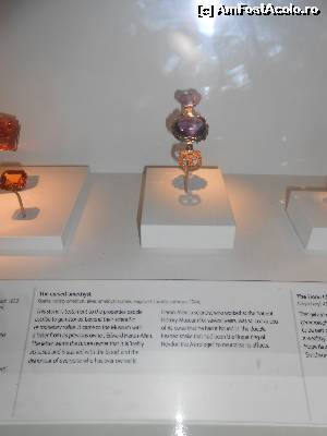 [P26] ametistul blestemat » foto by buterfly*
 - 
<span class="allrVoted glyphicon glyphicon-heart hidden" id="av573217"></span>
<a class="m-l-10 hidden" id="sv573217" onclick="voting_Foto_DelVot(,573217,10282)" role="button">șterge vot <span class="glyphicon glyphicon-remove"></span></a>
<a id="v9573217" class=" c-red"  onclick="voting_Foto_SetVot(573217)" role="button"><span class="glyphicon glyphicon-heart-empty"></span> <b>LIKE</b> = Votează poza</a> <img class="hidden"  id="f573217W9" src="/imagini/loader.gif" border="0" /><span class="AjErrMes hidden" id="e573217ErM"></span>