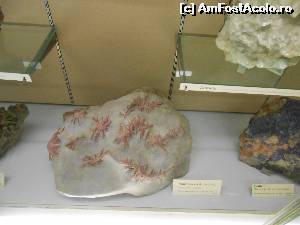 [P31]  -- <small>// FĂRĂ DESCRIERE</small> » foto by buterfly*
 - 
<span class="allrVoted glyphicon glyphicon-heart hidden" id="av573222"></span>
<a class="m-l-10 hidden" id="sv573222" onclick="voting_Foto_DelVot(,573222,10282)" role="button">șterge vot <span class="glyphicon glyphicon-remove"></span></a>
<a id="v9573222" class=" c-red"  onclick="voting_Foto_SetVot(573222)" role="button"><span class="glyphicon glyphicon-heart-empty"></span> <b>LIKE</b> = Votează poza</a> <img class="hidden"  id="f573222W9" src="/imagini/loader.gif" border="0" /><span class="AjErrMes hidden" id="e573222ErM"></span>