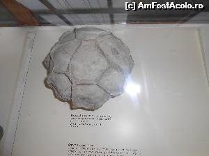 [P34]  -- <small>// FĂRĂ DESCRIERE</small> » foto by buterfly*
 - 
<span class="allrVoted glyphicon glyphicon-heart hidden" id="av573225"></span>
<a class="m-l-10 hidden" id="sv573225" onclick="voting_Foto_DelVot(,573225,10282)" role="button">șterge vot <span class="glyphicon glyphicon-remove"></span></a>
<a id="v9573225" class=" c-red"  onclick="voting_Foto_SetVot(573225)" role="button"><span class="glyphicon glyphicon-heart-empty"></span> <b>LIKE</b> = Votează poza</a> <img class="hidden"  id="f573225W9" src="/imagini/loader.gif" border="0" /><span class="AjErrMes hidden" id="e573225ErM"></span>