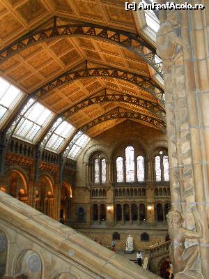 [P36] decoratiuni superbe ale coloanelor » foto by buterfly*
 - 
<span class="allrVoted glyphicon glyphicon-heart hidden" id="av573227"></span>
<a class="m-l-10 hidden" id="sv573227" onclick="voting_Foto_DelVot(,573227,10282)" role="button">șterge vot <span class="glyphicon glyphicon-remove"></span></a>
<a id="v9573227" class=" c-red"  onclick="voting_Foto_SetVot(573227)" role="button"><span class="glyphicon glyphicon-heart-empty"></span> <b>LIKE</b> = Votează poza</a> <img class="hidden"  id="f573227W9" src="/imagini/loader.gif" border="0" /><span class="AjErrMes hidden" id="e573227ErM"></span>