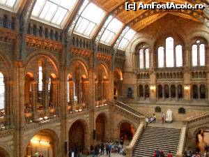 [P37] statuia alba a lui Darwin » foto by buterfly*
 - 
<span class="allrVoted glyphicon glyphicon-heart hidden" id="av573228"></span>
<a class="m-l-10 hidden" id="sv573228" onclick="voting_Foto_DelVot(,573228,10282)" role="button">șterge vot <span class="glyphicon glyphicon-remove"></span></a>
<a id="v9573228" class=" c-red"  onclick="voting_Foto_SetVot(573228)" role="button"><span class="glyphicon glyphicon-heart-empty"></span> <b>LIKE</b> = Votează poza</a> <img class="hidden"  id="f573228W9" src="/imagini/loader.gif" border="0" /><span class="AjErrMes hidden" id="e573228ErM"></span>