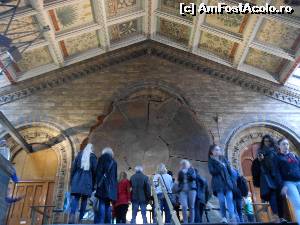 [P38] felia uriasa de seqoia » foto by buterfly*
 - 
<span class="allrVoted glyphicon glyphicon-heart hidden" id="av573229"></span>
<a class="m-l-10 hidden" id="sv573229" onclick="voting_Foto_DelVot(,573229,10282)" role="button">șterge vot <span class="glyphicon glyphicon-remove"></span></a>
<a id="v9573229" class=" c-red"  onclick="voting_Foto_SetVot(573229)" role="button"><span class="glyphicon glyphicon-heart-empty"></span> <b>LIKE</b> = Votează poza</a> <img class="hidden"  id="f573229W9" src="/imagini/loader.gif" border="0" /><span class="AjErrMes hidden" id="e573229ErM"></span>