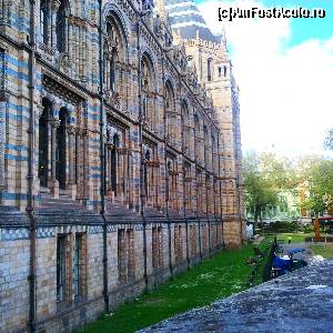 [P07] natural history museum » foto by iacobescu.a
 - 
<span class="allrVoted glyphicon glyphicon-heart hidden" id="av614239"></span>
<a class="m-l-10 hidden" id="sv614239" onclick="voting_Foto_DelVot(,614239,10282)" role="button">șterge vot <span class="glyphicon glyphicon-remove"></span></a>
<a id="v9614239" class=" c-red"  onclick="voting_Foto_SetVot(614239)" role="button"><span class="glyphicon glyphicon-heart-empty"></span> <b>LIKE</b> = Votează poza</a> <img class="hidden"  id="f614239W9" src="/imagini/loader.gif" border="0" /><span class="AjErrMes hidden" id="e614239ErM"></span>