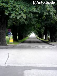 [P01] intrare/iesire din Mondsee....spre lac...sau...invers..spre oras » foto by Alex_Macedo
 - 
<span class="allrVoted glyphicon glyphicon-heart hidden" id="av260177"></span>
<a class="m-l-10 hidden" id="sv260177" onclick="voting_Foto_DelVot(,260177,10292)" role="button">șterge vot <span class="glyphicon glyphicon-remove"></span></a>
<a id="v9260177" class=" c-red"  onclick="voting_Foto_SetVot(260177)" role="button"><span class="glyphicon glyphicon-heart-empty"></span> <b>LIKE</b> = Votează poza</a> <img class="hidden"  id="f260177W9" src="/imagini/loader.gif" border="0" /><span class="AjErrMes hidden" id="e260177ErM"></span>