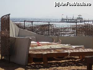 [P01] Asa inteleg unii sa se apere de vant cu 5 saltele si 4 garduturi. Evident ca majoritatea raman fara. Rusii, foarte de treaba, ce sa mai zic: D » foto by Katyella
 - 
<span class="allrVoted glyphicon glyphicon-heart hidden" id="av395263"></span>
<a class="m-l-10 hidden" id="sv395263" onclick="voting_Foto_DelVot(,395263,10304)" role="button">șterge vot <span class="glyphicon glyphicon-remove"></span></a>
<a id="v9395263" class=" c-red"  onclick="voting_Foto_SetVot(395263)" role="button"><span class="glyphicon glyphicon-heart-empty"></span> <b>LIKE</b> = Votează poza</a> <img class="hidden"  id="f395263W9" src="/imagini/loader.gif" border="0" /><span class="AjErrMes hidden" id="e395263ErM"></span>