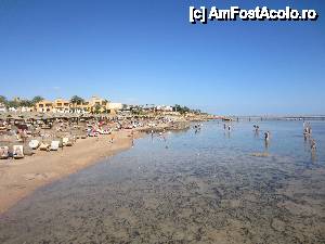 [P13] plaja » foto by Katyella
 - 
<span class="allrVoted glyphicon glyphicon-heart hidden" id="av395280"></span>
<a class="m-l-10 hidden" id="sv395280" onclick="voting_Foto_DelVot(,395280,10304)" role="button">șterge vot <span class="glyphicon glyphicon-remove"></span></a>
<a id="v9395280" class=" c-red"  onclick="voting_Foto_SetVot(395280)" role="button"><span class="glyphicon glyphicon-heart-empty"></span> <b>LIKE</b> = Votează poza</a> <img class="hidden"  id="f395280W9" src="/imagini/loader.gif" border="0" /><span class="AjErrMes hidden" id="e395280ErM"></span>