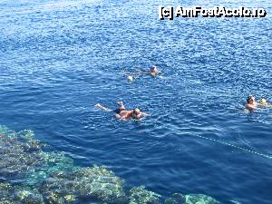 [P14] snorkeling » foto by Katyella
 - 
<span class="allrVoted glyphicon glyphicon-heart hidden" id="av395281"></span>
<a class="m-l-10 hidden" id="sv395281" onclick="voting_Foto_DelVot(,395281,10304)" role="button">șterge vot <span class="glyphicon glyphicon-remove"></span></a>
<a id="v9395281" class=" c-red"  onclick="voting_Foto_SetVot(395281)" role="button"><span class="glyphicon glyphicon-heart-empty"></span> <b>LIKE</b> = Votează poza</a> <img class="hidden"  id="f395281W9" src="/imagini/loader.gif" border="0" /><span class="AjErrMes hidden" id="e395281ErM"></span>