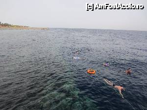 [P07] aici se face snorkeling, pe un perimetru relativ ingust din cauza curentilor (cel putin in ianuarie sunt curenti si nu te lasa sa te indepartezi asa ca uneori e chiar 'inghesuiala' in apa » foto by Katyella
 - 
<span class="allrVoted glyphicon glyphicon-heart hidden" id="av395273"></span>
<a class="m-l-10 hidden" id="sv395273" onclick="voting_Foto_DelVot(,395273,10304)" role="button">șterge vot <span class="glyphicon glyphicon-remove"></span></a>
<a id="v9395273" class=" c-red"  onclick="voting_Foto_SetVot(395273)" role="button"><span class="glyphicon glyphicon-heart-empty"></span> <b>LIKE</b> = Votează poza</a> <img class="hidden"  id="f395273W9" src="/imagini/loader.gif" border="0" /><span class="AjErrMes hidden" id="e395273ErM"></span>