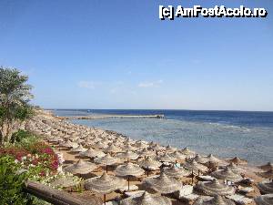 [P09] Plaja » foto by Katyella
 - 
<span class="allrVoted glyphicon glyphicon-heart hidden" id="av395276"></span>
<a class="m-l-10 hidden" id="sv395276" onclick="voting_Foto_DelVot(,395276,10304)" role="button">șterge vot <span class="glyphicon glyphicon-remove"></span></a>
<a id="v9395276" class=" c-red"  onclick="voting_Foto_SetVot(395276)" role="button"><span class="glyphicon glyphicon-heart-empty"></span> <b>LIKE</b> = Votează poza</a> <img class="hidden"  id="f395276W9" src="/imagini/loader.gif" border="0" /><span class="AjErrMes hidden" id="e395276ErM"></span>