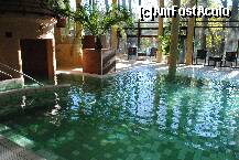 [P01] piscina » foto by mihailescu
 - 
<span class="allrVoted glyphicon glyphicon-heart hidden" id="av266894"></span>
<a class="m-l-10 hidden" id="sv266894" onclick="voting_Foto_DelVot(,266894,10411)" role="button">șterge vot <span class="glyphicon glyphicon-remove"></span></a>
<a id="v9266894" class=" c-red"  onclick="voting_Foto_SetVot(266894)" role="button"><span class="glyphicon glyphicon-heart-empty"></span> <b>LIKE</b> = Votează poza</a> <img class="hidden"  id="f266894W9" src="/imagini/loader.gif" border="0" /><span class="AjErrMes hidden" id="e266894ErM"></span>