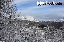 [P06] 'Ahtiati' dupa zapada, aici am oprit din noua pentru o scurta bataie cu bulgari :) » foto by alinaro
 - 
<span class="allrVoted glyphicon glyphicon-heart hidden" id="av273334"></span>
<a class="m-l-10 hidden" id="sv273334" onclick="voting_Foto_DelVot(,273334,10554)" role="button">șterge vot <span class="glyphicon glyphicon-remove"></span></a>
<a id="v9273334" class=" c-red"  onclick="voting_Foto_SetVot(273334)" role="button"><span class="glyphicon glyphicon-heart-empty"></span> <b>LIKE</b> = Votează poza</a> <img class="hidden"  id="f273334W9" src="/imagini/loader.gif" border="0" /><span class="AjErrMes hidden" id="e273334ErM"></span>