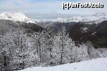 [P08] Fara cuvinte... » foto by alinaro
 - 
<span class="allrVoted glyphicon glyphicon-heart hidden" id="av273336"></span>
<a class="m-l-10 hidden" id="sv273336" onclick="voting_Foto_DelVot(,273336,10554)" role="button">șterge vot <span class="glyphicon glyphicon-remove"></span></a>
<a id="v9273336" class=" c-red"  onclick="voting_Foto_SetVot(273336)" role="button"><span class="glyphicon glyphicon-heart-empty"></span> <b>LIKE</b> = Votează poza</a> <img class="hidden"  id="f273336W9" src="/imagini/loader.gif" border="0" /><span class="AjErrMes hidden" id="e273336ErM"></span>