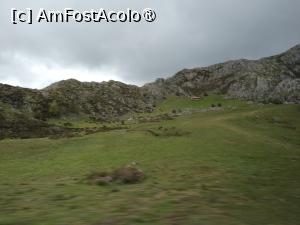 [P01] Cătun asturian » foto by Marius 72
 - 
<span class="allrVoted glyphicon glyphicon-heart hidden" id="av1431427"></span>
<a class="m-l-10 hidden" id="sv1431427" onclick="voting_Foto_DelVot(,1431427,10554)" role="button">șterge vot <span class="glyphicon glyphicon-remove"></span></a>
<a id="v91431427" class=" c-red"  onclick="voting_Foto_SetVot(1431427)" role="button"><span class="glyphicon glyphicon-heart-empty"></span> <b>LIKE</b> = Votează poza</a> <img class="hidden"  id="f1431427W9" src="/imagini/loader.gif" border="0" /><span class="AjErrMes hidden" id="e1431427ErM"></span>