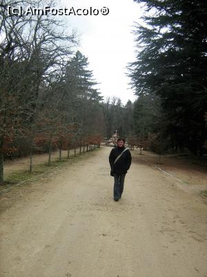 [P16] Gradinile. Macar aici ai vara umbra. In Versailles totul este geometric, drept si protejat de nenumaratele garduri de sarma.  » foto by cristina47*
 - 
<span class="allrVoted glyphicon glyphicon-heart hidden" id="av723288"></span>
<a class="m-l-10 hidden" id="sv723288" onclick="voting_Foto_DelVot(,723288,10572)" role="button">șterge vot <span class="glyphicon glyphicon-remove"></span></a>
<a id="v9723288" class=" c-red"  onclick="voting_Foto_SetVot(723288)" role="button"><span class="glyphicon glyphicon-heart-empty"></span> <b>LIKE</b> = Votează poza</a> <img class="hidden"  id="f723288W9" src="/imagini/loader.gif" border="0" /><span class="AjErrMes hidden" id="e723288ErM"></span>