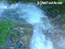 [P17] Raul din portiunea de urcare Kaprun catre inaltul varf Gloschnocker » foto by florintoma
 - 
<span class="allrVoted glyphicon glyphicon-heart hidden" id="av276357"></span>
<a class="m-l-10 hidden" id="sv276357" onclick="voting_Foto_DelVot(,276357,10610)" role="button">șterge vot <span class="glyphicon glyphicon-remove"></span></a>
<a id="v9276357" class=" c-red"  onclick="voting_Foto_SetVot(276357)" role="button"><span class="glyphicon glyphicon-heart-empty"></span> <b>LIKE</b> = Votează poza</a> <img class="hidden"  id="f276357W9" src="/imagini/loader.gif" border="0" /><span class="AjErrMes hidden" id="e276357ErM"></span>