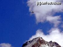 [P22] Cel mai inalt varf Kitzsteinhorn 3.203 m si moto-planoare care survoleaza zona cu turisti grabiti, am vazut si multi vulturi grabiti » foto by florintoma
 - 
<span class="allrVoted glyphicon glyphicon-heart hidden" id="av276365"></span>
<a class="m-l-10 hidden" id="sv276365" onclick="voting_Foto_DelVot(,276365,10610)" role="button">șterge vot <span class="glyphicon glyphicon-remove"></span></a>
<a id="v9276365" class=" c-red"  onclick="voting_Foto_SetVot(276365)" role="button"><span class="glyphicon glyphicon-heart-empty"></span> <b>LIKE</b> = Votează poza</a> <img class="hidden"  id="f276365W9" src="/imagini/loader.gif" border="0" /><span class="AjErrMes hidden" id="e276365ErM"></span>