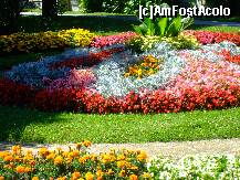 [P04] Parcul statiunii si multe flori la tot pasul » foto by florintoma
 - 
<span class="allrVoted glyphicon glyphicon-heart hidden" id="av276335"></span>
<a class="m-l-10 hidden" id="sv276335" onclick="voting_Foto_DelVot(,276335,10610)" role="button">șterge vot <span class="glyphicon glyphicon-remove"></span></a>
<a id="v9276335" class=" c-red"  onclick="voting_Foto_SetVot(276335)" role="button"><span class="glyphicon glyphicon-heart-empty"></span> <b>LIKE</b> = Votează poza</a> <img class="hidden"  id="f276335W9" src="/imagini/loader.gif" border="0" /><span class="AjErrMes hidden" id="e276335ErM"></span>