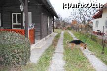 [P03]  -- <small>// FĂRĂ DESCRIERE</small> » foto by mihailescu
 - 
<span class="allrVoted glyphicon glyphicon-heart hidden" id="av276717"></span>
<a class="m-l-10 hidden" id="sv276717" onclick="voting_Foto_DelVot(,276717,10618)" role="button">șterge vot <span class="glyphicon glyphicon-remove"></span></a>
<a id="v9276717" class=" c-red"  onclick="voting_Foto_SetVot(276717)" role="button"><span class="glyphicon glyphicon-heart-empty"></span> <b>LIKE</b> = Votează poza</a> <img class="hidden"  id="f276717W9" src="/imagini/loader.gif" border="0" /><span class="AjErrMes hidden" id="e276717ErM"></span>