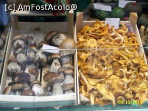 [P35] Ciuperci adevarate...  » foto by cristina47*
 - 
<span class="allrVoted glyphicon glyphicon-heart hidden" id="av803316"></span>
<a class="m-l-10 hidden" id="sv803316" onclick="voting_Foto_DelVot(,803316,10639)" role="button">șterge vot <span class="glyphicon glyphicon-remove"></span></a>
<a id="v9803316" class=" c-red"  onclick="voting_Foto_SetVot(803316)" role="button"><span class="glyphicon glyphicon-heart-empty"></span> <b>LIKE</b> = Votează poza</a> <img class="hidden"  id="f803316W9" src="/imagini/loader.gif" border="0" /><span class="AjErrMes hidden" id="e803316ErM"></span>