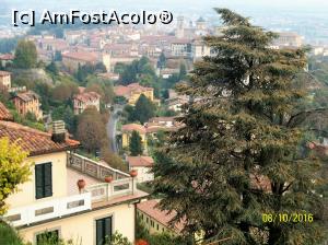 [P50] Orasul de sus vazut de si mai sus...  » foto by cristina47*
 - 
<span class="allrVoted glyphicon glyphicon-heart hidden" id="av803331"></span>
<a class="m-l-10 hidden" id="sv803331" onclick="voting_Foto_DelVot(,803331,10639)" role="button">șterge vot <span class="glyphicon glyphicon-remove"></span></a>
<a id="v9803331" class=" c-red"  onclick="voting_Foto_SetVot(803331)" role="button"><span class="glyphicon glyphicon-heart-empty"></span> <b>LIKE</b> = Votează poza</a> <img class="hidden"  id="f803331W9" src="/imagini/loader.gif" border="0" /><span class="AjErrMes hidden" id="e803331ErM"></span>