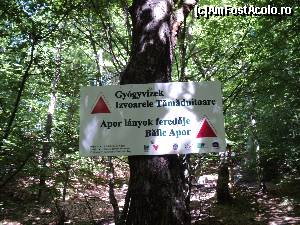 [P30] Spre Izvoarele Tamaduitoare.  » foto by vega06
 - 
<span class="allrVoted glyphicon glyphicon-heart hidden" id="av568473"></span>
<a class="m-l-10 hidden" id="sv568473" onclick="voting_Foto_DelVot(,568473,10680)" role="button">șterge vot <span class="glyphicon glyphicon-remove"></span></a>
<a id="v9568473" class=" c-red"  onclick="voting_Foto_SetVot(568473)" role="button"><span class="glyphicon glyphicon-heart-empty"></span> <b>LIKE</b> = Votează poza</a> <img class="hidden"  id="f568473W9" src="/imagini/loader.gif" border="0" /><span class="AjErrMes hidden" id="e568473ErM"></span>