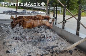 [P20] Miei la rotisor ul unui restaurant pe marginea străzii.  » foto by Ioan Raita
 - 
<span class="allrVoted glyphicon glyphicon-heart hidden" id="av738072"></span>
<a class="m-l-10 hidden" id="sv738072" onclick="voting_Foto_DelVot(,738072,10697)" role="button">șterge vot <span class="glyphicon glyphicon-remove"></span></a>
<a id="v9738072" class=" c-red"  onclick="voting_Foto_SetVot(738072)" role="button"><span class="glyphicon glyphicon-heart-empty"></span> <b>LIKE</b> = Votează poza</a> <img class="hidden"  id="f738072W9" src="/imagini/loader.gif" border="0" /><span class="AjErrMes hidden" id="e738072ErM"></span>