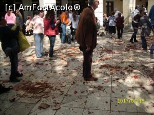 [P37] Praf și pulbere... de vase!  » foto by puiutea
 - 
<span class="allrVoted glyphicon glyphicon-heart hidden" id="av848524"></span>
<a class="m-l-10 hidden" id="sv848524" onclick="voting_Foto_DelVot(,848524,10697)" role="button">șterge vot <span class="glyphicon glyphicon-remove"></span></a>
<a id="v9848524" class=" c-red"  onclick="voting_Foto_SetVot(848524)" role="button"><span class="glyphicon glyphicon-heart-empty"></span> <b>LIKE</b> = Votează poza</a> <img class="hidden"  id="f848524W9" src="/imagini/loader.gif" border="0" /><span class="AjErrMes hidden" id="e848524ErM"></span>