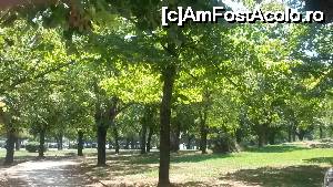 [P27] Un parculet mic si dragut de care am dat in drum spre Fortareata Veche » foto by AleDia
 - 
<span class="allrVoted glyphicon glyphicon-heart hidden" id="av687214"></span>
<a class="m-l-10 hidden" id="sv687214" onclick="voting_Foto_DelVot(,687214,10697)" role="button">șterge vot <span class="glyphicon glyphicon-remove"></span></a>
<a id="v9687214" class=" c-red"  onclick="voting_Foto_SetVot(687214)" role="button"><span class="glyphicon glyphicon-heart-empty"></span> <b>LIKE</b> = Votează poza</a> <img class="hidden"  id="f687214W9" src="/imagini/loader.gif" border="0" /><span class="AjErrMes hidden" id="e687214ErM"></span>