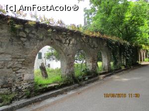 [P15]  -- <small>// FĂRĂ DESCRIERE</small> » foto by elviramvio
 - 
<span class="allrVoted glyphicon glyphicon-heart hidden" id="av803112"></span>
<a class="m-l-10 hidden" id="sv803112" onclick="voting_Foto_DelVot(,803112,10697)" role="button">șterge vot <span class="glyphicon glyphicon-remove"></span></a>
<a id="v9803112" class=" c-red"  onclick="voting_Foto_SetVot(803112)" role="button"><span class="glyphicon glyphicon-heart-empty"></span> <b>LIKE</b> = Votează poza</a> <img class="hidden"  id="f803112W9" src="/imagini/loader.gif" border="0" /><span class="AjErrMes hidden" id="e803112ErM"></span>