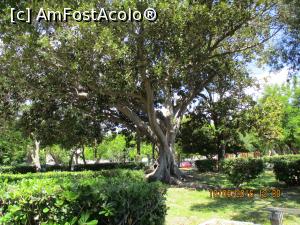 [P24] Odihna in Spianada » foto by elviramvio
 - 
<span class="allrVoted glyphicon glyphicon-heart hidden" id="av804295"></span>
<a class="m-l-10 hidden" id="sv804295" onclick="voting_Foto_DelVot(,804295,10697)" role="button">șterge vot <span class="glyphicon glyphicon-remove"></span></a>
<a id="v9804295" class=" c-red"  onclick="voting_Foto_SetVot(804295)" role="button"><span class="glyphicon glyphicon-heart-empty"></span> <b>LIKE</b> = Votează poza</a> <img class="hidden"  id="f804295W9" src="/imagini/loader.gif" border="0" /><span class="AjErrMes hidden" id="e804295ErM"></span>