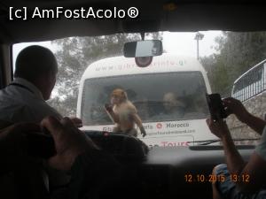 [P15] 'Va pup... pa pa' » foto by artemisa24
 - 
<span class="allrVoted glyphicon glyphicon-heart hidden" id="av711878"></span>
<a class="m-l-10 hidden" id="sv711878" onclick="voting_Foto_DelVot(,711878,10713)" role="button">șterge vot <span class="glyphicon glyphicon-remove"></span></a>
<a id="v9711878" class=" c-red"  onclick="voting_Foto_SetVot(711878)" role="button"><span class="glyphicon glyphicon-heart-empty"></span> <b>LIKE</b> = Votează poza</a> <img class="hidden"  id="f711878W9" src="/imagini/loader.gif" border="0" /><span class="AjErrMes hidden" id="e711878ErM"></span>