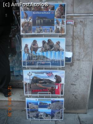 [P20]  -- <small>// FĂRĂ DESCRIERE</small> » foto by artemisa24
 - 
<span class="allrVoted glyphicon glyphicon-heart hidden" id="av711885"></span>
<a class="m-l-10 hidden" id="sv711885" onclick="voting_Foto_DelVot(,711885,10713)" role="button">șterge vot <span class="glyphicon glyphicon-remove"></span></a>
<a id="v9711885" class=" c-red"  onclick="voting_Foto_SetVot(711885)" role="button"><span class="glyphicon glyphicon-heart-empty"></span> <b>LIKE</b> = Votează poza</a> <img class="hidden"  id="f711885W9" src="/imagini/loader.gif" border="0" /><span class="AjErrMes hidden" id="e711885ErM"></span>