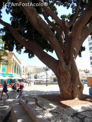 [P08] Torremolinos » foto by mootoo
 - 
<span class="allrVoted glyphicon glyphicon-heart hidden" id="av762124"></span>
<a class="m-l-10 hidden" id="sv762124" onclick="voting_Foto_DelVot(,762124,10713)" role="button">șterge vot <span class="glyphicon glyphicon-remove"></span></a>
<a id="v9762124" class=" c-red"  onclick="voting_Foto_SetVot(762124)" role="button"><span class="glyphicon glyphicon-heart-empty"></span> <b>LIKE</b> = Votează poza</a> <img class="hidden"  id="f762124W9" src="/imagini/loader.gif" border="0" /><span class="AjErrMes hidden" id="e762124ErM"></span>