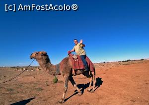 [P15] Nici ca se putea altfel: de la motocicleta de 200cp, la camila! Harran te schimba!  » foto by webSorin
 - 
<span class="allrVoted glyphicon glyphicon-heart hidden" id="av1047549"></span>
<a class="m-l-10 hidden" id="sv1047549" onclick="voting_Foto_DelVot(,1047549,10714)" role="button">șterge vot <span class="glyphicon glyphicon-remove"></span></a>
<a id="v91047549" class=" c-red"  onclick="voting_Foto_SetVot(1047549)" role="button"><span class="glyphicon glyphicon-heart-empty"></span> <b>LIKE</b> = Votează poza</a> <img class="hidden"  id="f1047549W9" src="/imagini/loader.gif" border="0" /><span class="AjErrMes hidden" id="e1047549ErM"></span>