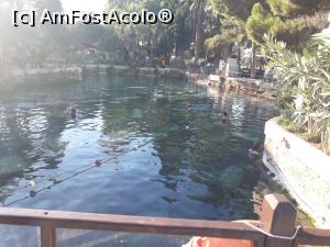 [P51] PISCINA CLEOPATREI » foto by costyy †
 - 
<span class="allrVoted glyphicon glyphicon-heart hidden" id="av1031815"></span>
<a class="m-l-10 hidden" id="sv1031815" onclick="voting_Foto_DelVot(,1031815,10714)" role="button">șterge vot <span class="glyphicon glyphicon-remove"></span></a>
<a id="v91031815" class=" c-red"  onclick="voting_Foto_SetVot(1031815)" role="button"><span class="glyphicon glyphicon-heart-empty"></span> <b>LIKE</b> = Votează poza</a> <img class="hidden"  id="f1031815W9" src="/imagini/loader.gif" border="0" /><span class="AjErrMes hidden" id="e1031815ErM"></span>