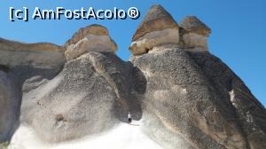 [P09] capadocia » foto by laurentium
 - 
<span class="allrVoted glyphicon glyphicon-heart hidden" id="av940902"></span>
<a class="m-l-10 hidden" id="sv940902" onclick="voting_Foto_DelVot(,940902,10714)" role="button">șterge vot <span class="glyphicon glyphicon-remove"></span></a>
<a id="v9940902" class=" c-red"  onclick="voting_Foto_SetVot(940902)" role="button"><span class="glyphicon glyphicon-heart-empty"></span> <b>LIKE</b> = Votează poza</a> <img class="hidden"  id="f940902W9" src="/imagini/loader.gif" border="0" /><span class="AjErrMes hidden" id="e940902ErM"></span>