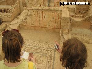 [P13] Alte mozaicuri grecesti in situl de la Efes.  » foto by calatorul
 - 
<span class="allrVoted glyphicon glyphicon-heart hidden" id="av563552"></span>
<a class="m-l-10 hidden" id="sv563552" onclick="voting_Foto_DelVot(,563552,10714)" role="button">șterge vot <span class="glyphicon glyphicon-remove"></span></a>
<a id="v9563552" class=" c-red"  onclick="voting_Foto_SetVot(563552)" role="button"><span class="glyphicon glyphicon-heart-empty"></span> <b>LIKE</b> = Votează poza</a> <img class="hidden"  id="f563552W9" src="/imagini/loader.gif" border="0" /><span class="AjErrMes hidden" id="e563552ErM"></span>