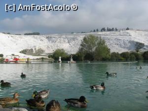 [P05] Pamukkale sau 'Castelul de bumbac' se arata in toata splendoarea.jpg » foto by carina_10
 - 
<span class="allrVoted glyphicon glyphicon-heart hidden" id="av924306"></span>
<a class="m-l-10 hidden" id="sv924306" onclick="voting_Foto_DelVot(,924306,10714)" role="button">șterge vot <span class="glyphicon glyphicon-remove"></span></a>
<a id="v9924306" class=" c-red"  onclick="voting_Foto_SetVot(924306)" role="button"><span class="glyphicon glyphicon-heart-empty"></span> <b>LIKE</b> = Votează poza</a> <img class="hidden"  id="f924306W9" src="/imagini/loader.gif" border="0" /><span class="AjErrMes hidden" id="e924306ErM"></span>