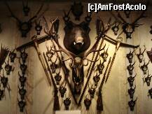 [P17] Sibiu - Muzeul de vanatoare » foto by Diaura*
 - 
<span class="allrVoted glyphicon glyphicon-heart hidden" id="av283955"></span>
<a class="m-l-10 hidden" id="sv283955" onclick="voting_Foto_DelVot(,283955,10746)" role="button">șterge vot <span class="glyphicon glyphicon-remove"></span></a>
<a id="v9283955" class=" c-red"  onclick="voting_Foto_SetVot(283955)" role="button"><span class="glyphicon glyphicon-heart-empty"></span> <b>LIKE</b> = Votează poza</a> <img class="hidden"  id="f283955W9" src="/imagini/loader.gif" border="0" /><span class="AjErrMes hidden" id="e283955ErM"></span>
