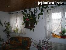 [P12]  -- <small>// FĂRĂ DESCRIERE</small> » foto by trigri
 - 
<span class="allrVoted glyphicon glyphicon-heart hidden" id="av284096"></span>
<a class="m-l-10 hidden" id="sv284096" onclick="voting_Foto_DelVot(,284096,10747)" role="button">șterge vot <span class="glyphicon glyphicon-remove"></span></a>
<a id="v9284096" class=" c-red"  onclick="voting_Foto_SetVot(284096)" role="button"><span class="glyphicon glyphicon-heart-empty"></span> <b>LIKE</b> = Votează poza</a> <img class="hidden"  id="f284096W9" src="/imagini/loader.gif" border="0" /><span class="AjErrMes hidden" id="e284096ErM"></span>