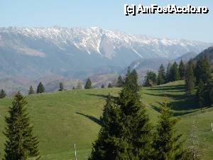 [P02] vedere spre Piatra Craiului de la balconul Pensiunii Nedeea » foto by mateimarian*
 - 
<span class="allrVoted glyphicon glyphicon-heart hidden" id="av398216"></span>
<a class="m-l-10 hidden" id="sv398216" onclick="voting_Foto_DelVot(,398216,10789)" role="button">șterge vot <span class="glyphicon glyphicon-remove"></span></a>
<a id="v9398216" class=" c-red"  onclick="voting_Foto_SetVot(398216)" role="button"><span class="glyphicon glyphicon-heart-empty"></span> <b>LIKE</b> = Votează poza</a> <img class="hidden"  id="f398216W9" src="/imagini/loader.gif" border="0" /><span class="AjErrMes hidden" id="e398216ErM"></span>