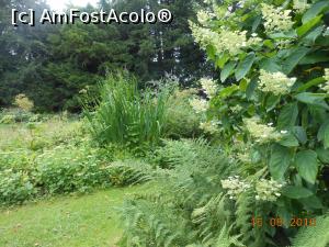 [P43] Scone Palace - În parc.  » foto by iulianic
 - 
<span class="allrVoted glyphicon glyphicon-heart hidden" id="av850481"></span>
<a class="m-l-10 hidden" id="sv850481" onclick="voting_Foto_DelVot(,850481,10793)" role="button">șterge vot <span class="glyphicon glyphicon-remove"></span></a>
<a id="v9850481" class=" c-red"  onclick="voting_Foto_SetVot(850481)" role="button"><span class="glyphicon glyphicon-heart-empty"></span> <b>LIKE</b> = Votează poza</a> <img class="hidden"  id="f850481W9" src="/imagini/loader.gif" border="0" /><span class="AjErrMes hidden" id="e850481ErM"></span>