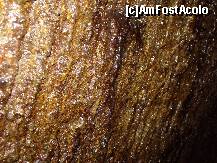 [P15] Asa arata peretele sapat cu dalta pe vremea romanilor » foto by argemi*
 - 
<span class="allrVoted glyphicon glyphicon-heart hidden" id="av286722"></span>
<a class="m-l-10 hidden" id="sv286722" onclick="voting_Foto_DelVot(,286722,10822)" role="button">șterge vot <span class="glyphicon glyphicon-remove"></span></a>
<a id="v9286722" class=" c-red"  onclick="voting_Foto_SetVot(286722)" role="button"><span class="glyphicon glyphicon-heart-empty"></span> <b>LIKE</b> = Votează poza</a> <img class="hidden"  id="f286722W9" src="/imagini/loader.gif" border="0" /><span class="AjErrMes hidden" id="e286722ErM"></span>