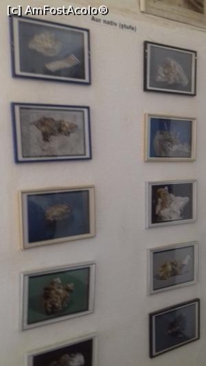 [P20] fotografii cu aur nativ, exemplarele reale sunt la muzeul aurului din Brad » foto by Yolanda
 - 
<span class="allrVoted glyphicon glyphicon-heart hidden" id="av1012053"></span>
<a class="m-l-10 hidden" id="sv1012053" onclick="voting_Foto_DelVot(,1012053,10822)" role="button">șterge vot <span class="glyphicon glyphicon-remove"></span></a>
<a id="v91012053" class=" c-red"  onclick="voting_Foto_SetVot(1012053)" role="button"><span class="glyphicon glyphicon-heart-empty"></span> <b>LIKE</b> = Votează poza</a> <img class="hidden"  id="f1012053W9" src="/imagini/loader.gif" border="0" /><span class="AjErrMes hidden" id="e1012053ErM"></span>