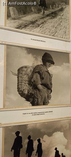 [P20] Copil cărând minereu într-un coș de nuiele. » foto by tata123 🔱
 - 
<span class="allrVoted glyphicon glyphicon-heart hidden" id="av1501359"></span>
<a class="m-l-10 hidden" id="sv1501359" onclick="voting_Foto_DelVot(,1501359,10822)" role="button">șterge vot <span class="glyphicon glyphicon-remove"></span></a>
<a id="v91501359" class=" c-red"  onclick="voting_Foto_SetVot(1501359)" role="button"><span class="glyphicon glyphicon-heart-empty"></span> <b>LIKE</b> = Votează poza</a> <img class="hidden"  id="f1501359W9" src="/imagini/loader.gif" border="0" /><span class="AjErrMes hidden" id="e1501359ErM"></span>