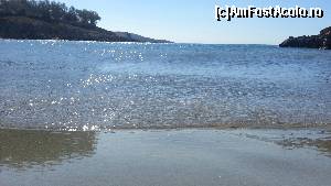 [P04]  -- <small>// FĂRĂ DESCRIERE</small> » foto by traian avramiuc
 - 
<span class="allrVoted glyphicon glyphicon-heart hidden" id="av554449"></span>
<a class="m-l-10 hidden" id="sv554449" onclick="voting_Foto_DelVot(,554449,10926)" role="button">șterge vot <span class="glyphicon glyphicon-remove"></span></a>
<a id="v9554449" class=" c-red"  onclick="voting_Foto_SetVot(554449)" role="button"><span class="glyphicon glyphicon-heart-empty"></span> <b>LIKE</b> = Votează poza</a> <img class="hidden"  id="f554449W9" src="/imagini/loader.gif" border="0" /><span class="AjErrMes hidden" id="e554449ErM"></span>