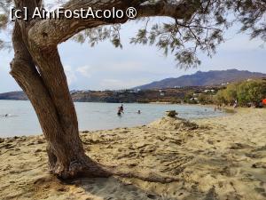 [P48] Plaja Agios Romanos » foto by crismis
 - 
<span class="allrVoted glyphicon glyphicon-heart hidden" id="av1472555"></span>
<a class="m-l-10 hidden" id="sv1472555" onclick="voting_Foto_DelVot(,1472555,10936)" role="button">șterge vot <span class="glyphicon glyphicon-remove"></span></a>
<a id="v91472555" class=" c-red"  onclick="voting_Foto_SetVot(1472555)" role="button"><span class="glyphicon glyphicon-heart-empty"></span> <b>LIKE</b> = Votează poza</a> <img class="hidden"  id="f1472555W9" src="/imagini/loader.gif" border="0" /><span class="AjErrMes hidden" id="e1472555ErM"></span>
